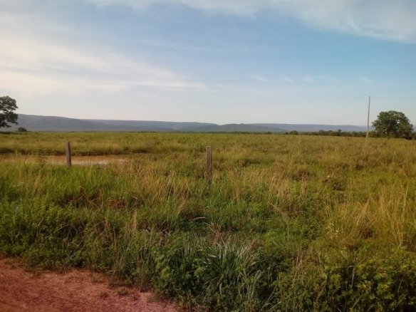 Foto de uma fazenda em Nobres - MT