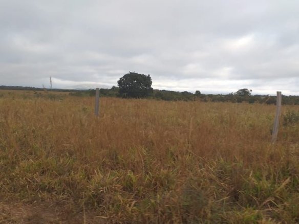 Foto de uma fazenda em Nobres - MT