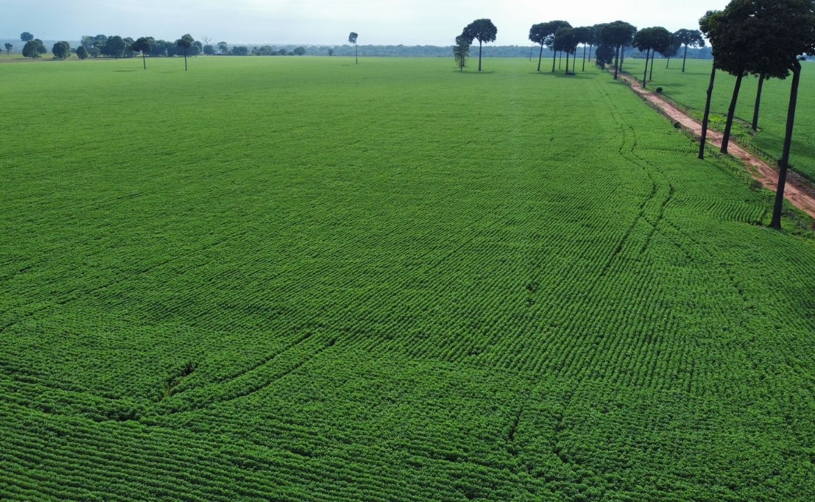 Foto Aérea de uma linda plantação de soja em Itaúba - MT