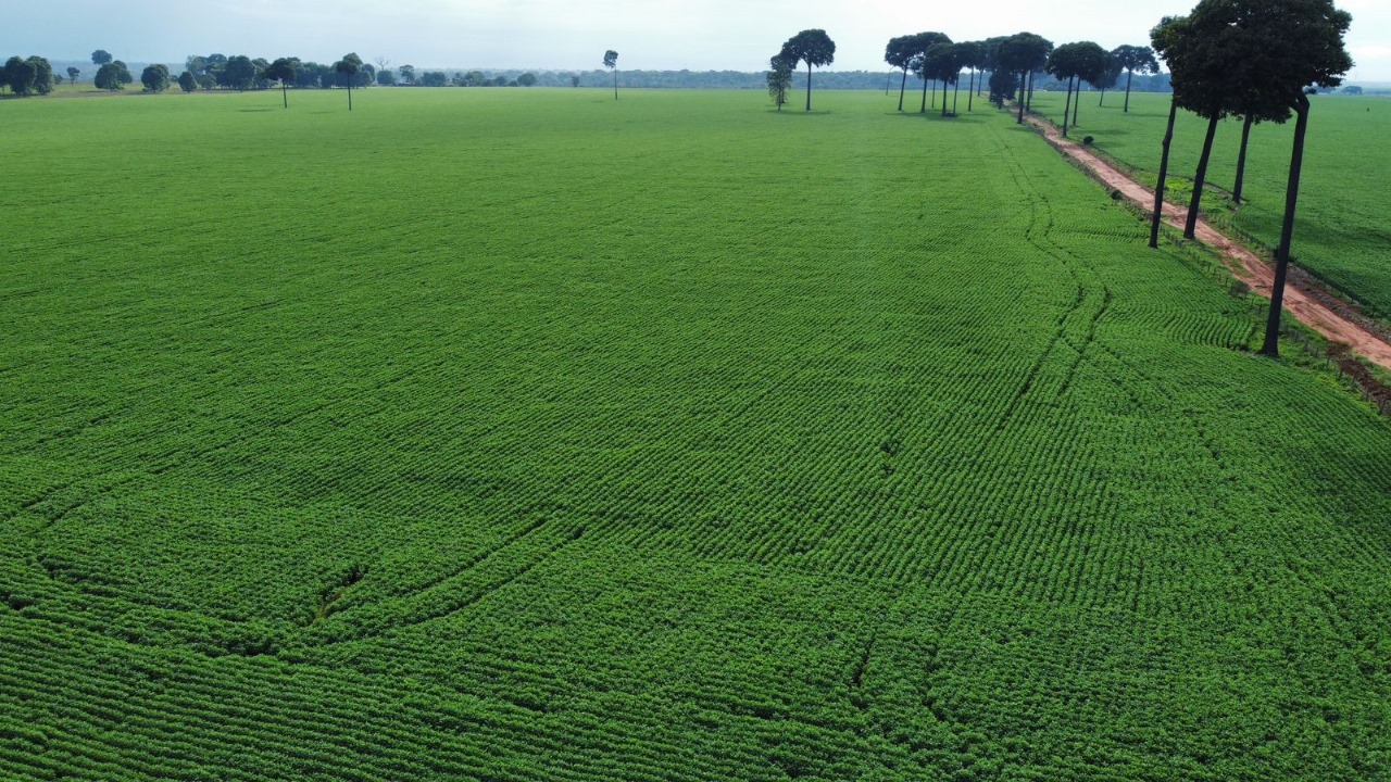 Foto Aérea de uma linda plantação de soja em Itaúba - MT