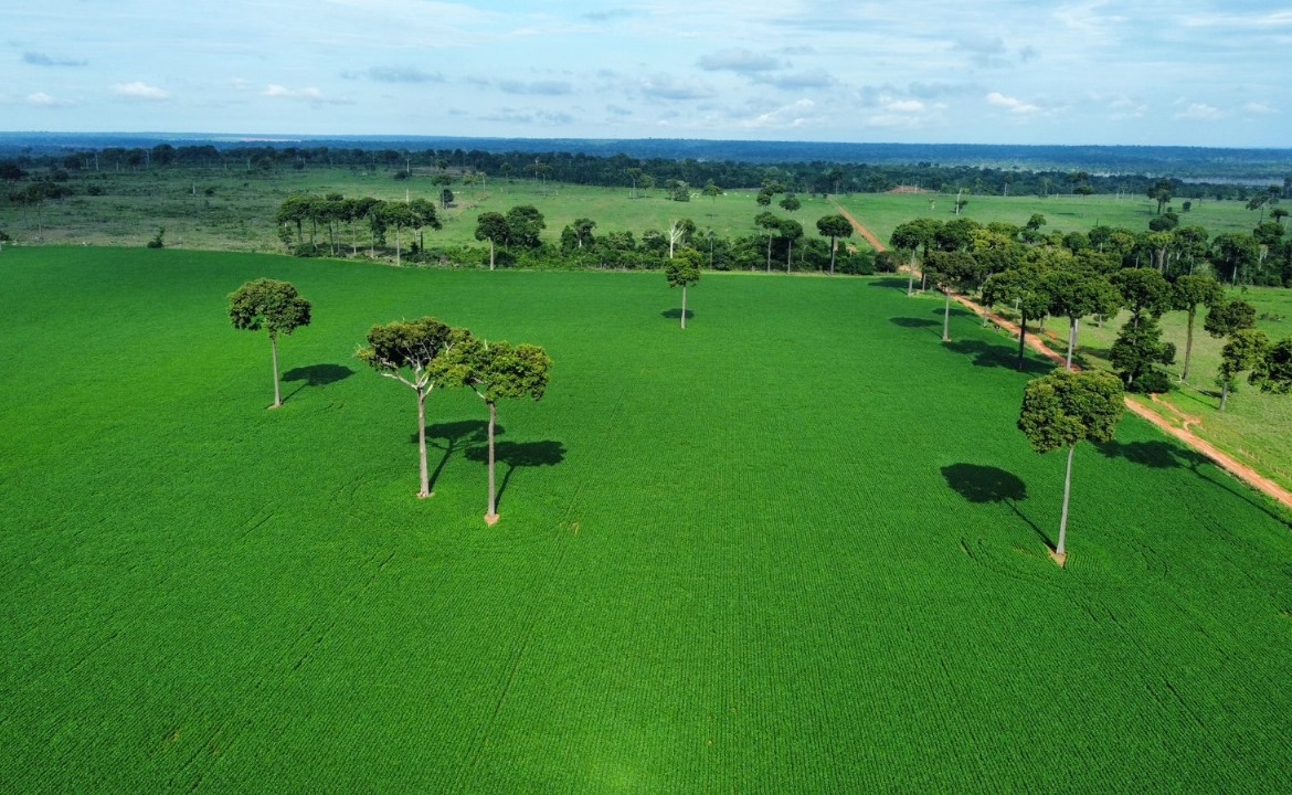 Foto aérea de uma lavoura verde de soja em Itaúba - MT