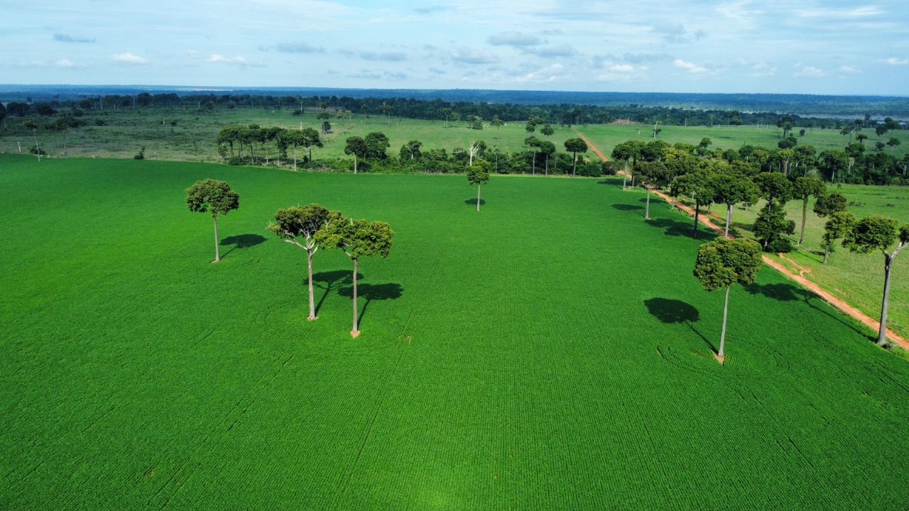 Foto aérea de uma lavoura verde de soja em Itaúba - MT