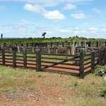 Foto de um curral em peixoto de azevedo
