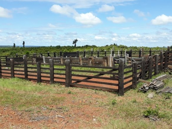 Foto de um curral em peixoto de azevedo