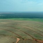 Foto aérea de uma fazenda em São José do Rio Claro - MT