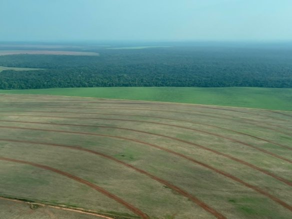 Foto aérea de uma fazenda em São José do Rio Claro - MT
