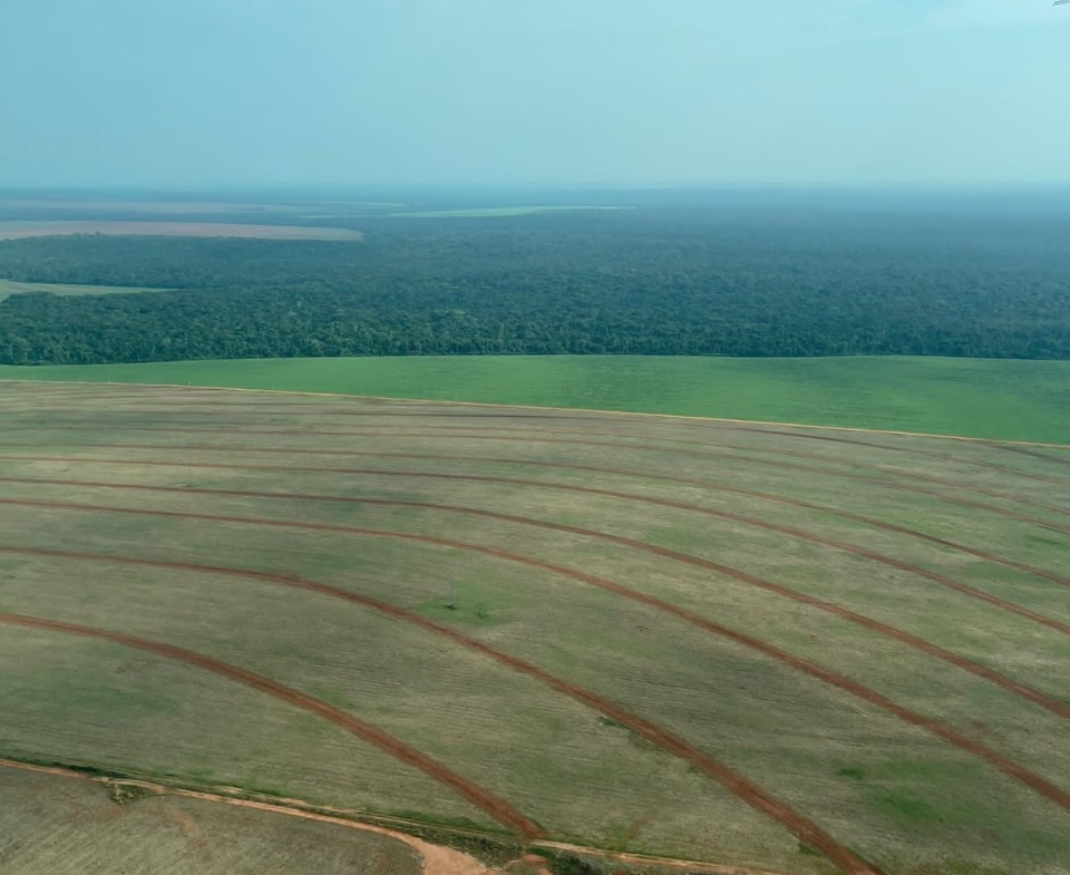 Foto aérea de uma fazenda em São José do Rio Claro - MT