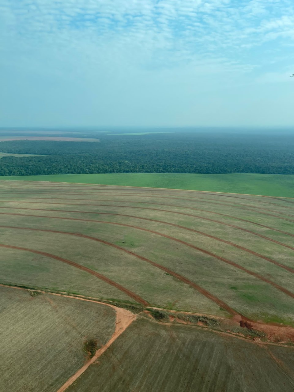 Foto aérea de uma fazenda em São José do Rio Claro - MT