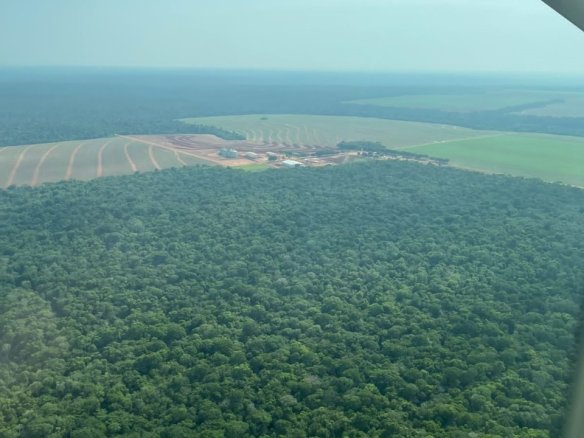 foto aérea de uma fazenda