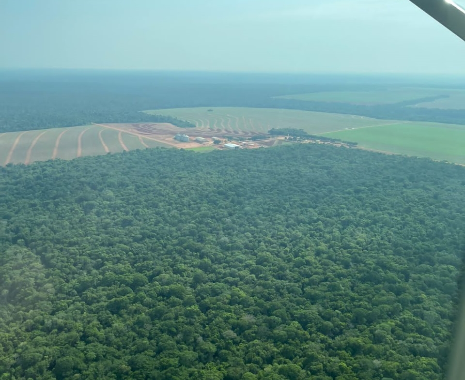 foto aérea de uma fazenda