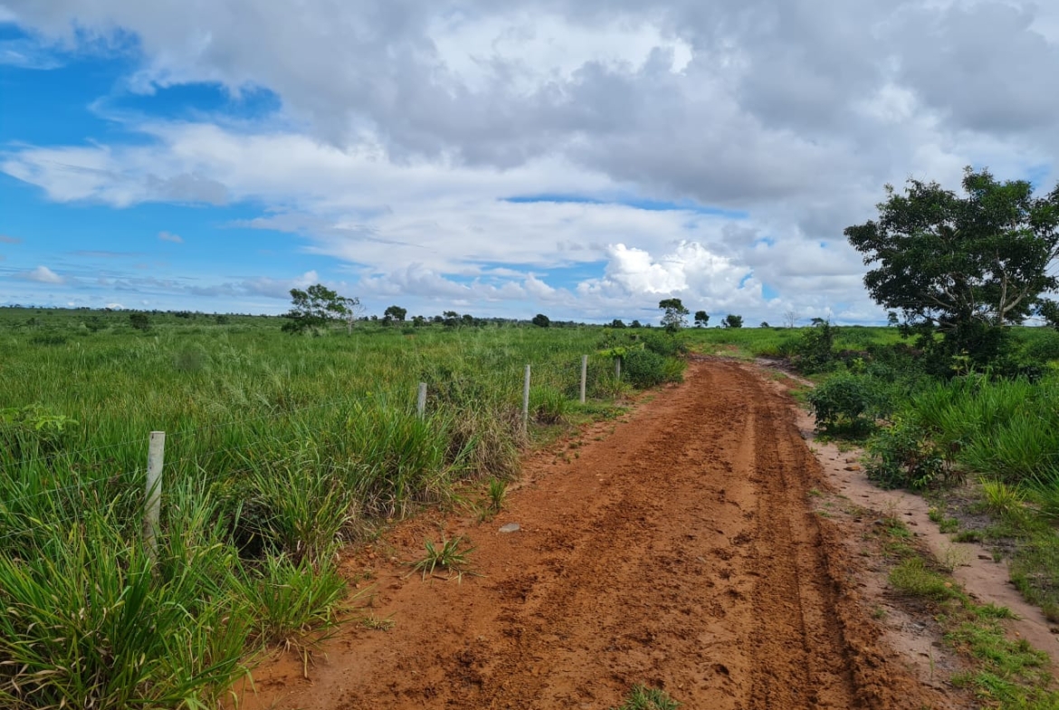 foto de uma estrada de uma fazenda