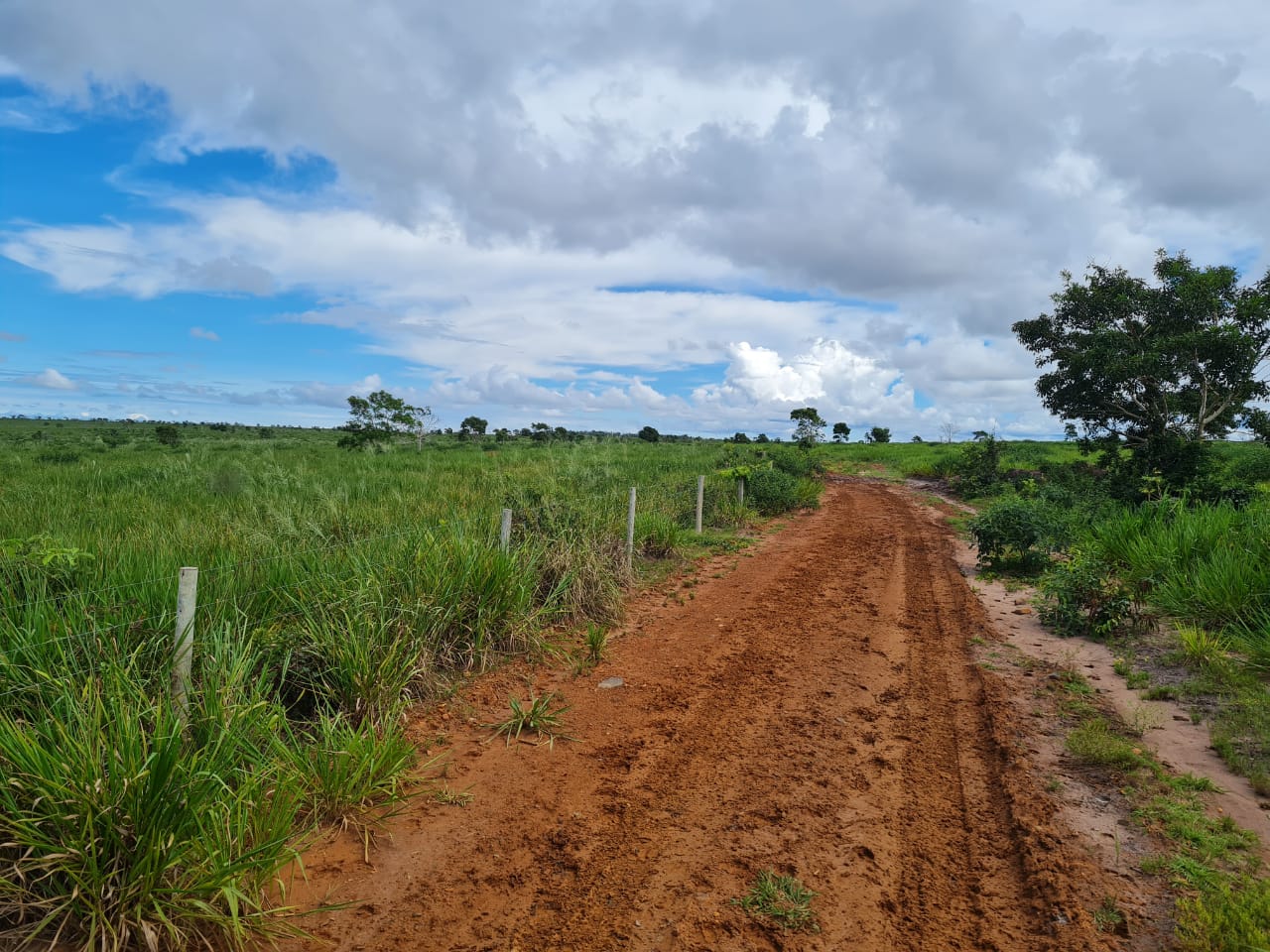 foto de uma estrada de uma fazenda