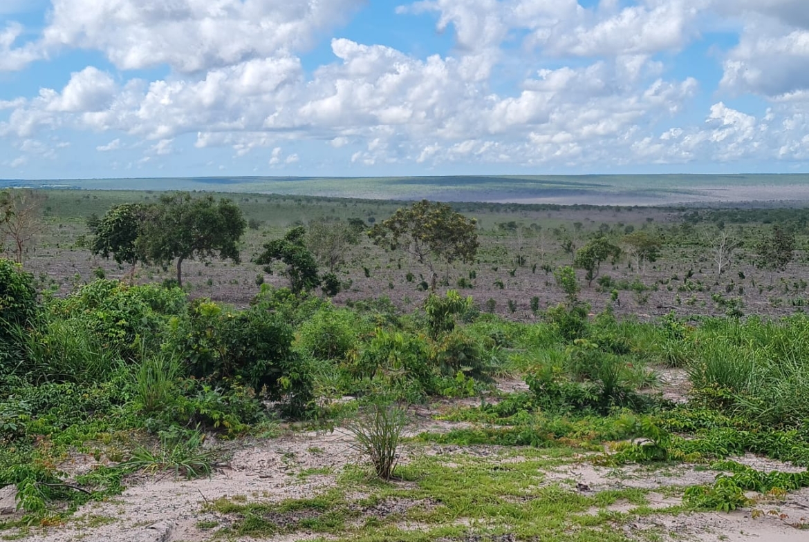 Foto do serrado no mato grosso