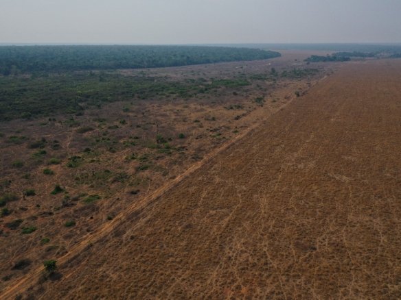 Foto Aérea de uma fazenda em Feliz Natal MT