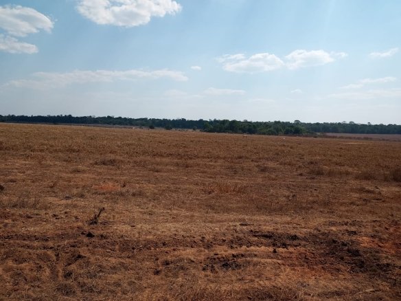Foto de uma fazenda em Feliz Natal - MT